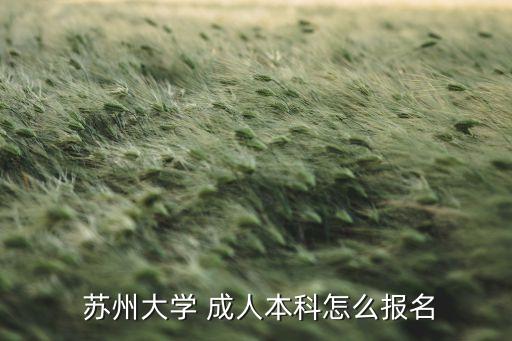  蘇州大學(xué) 成人本科怎么報(bào)名