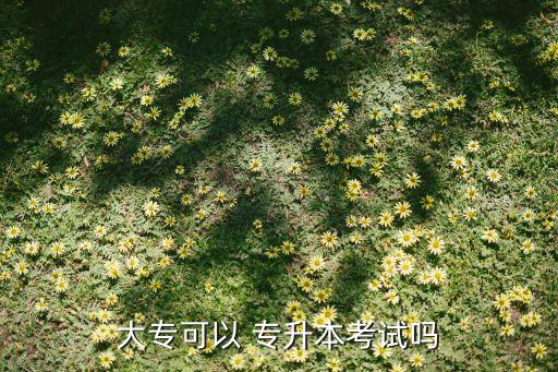 大?？梢?專升本考試嗎