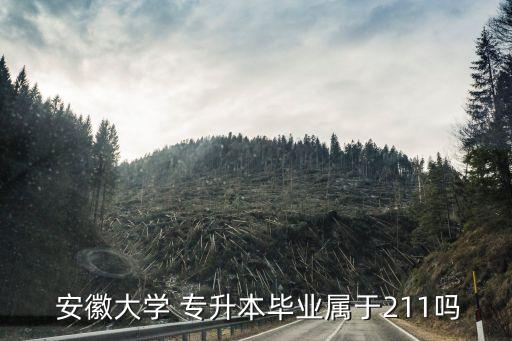 安徽大學(xué)設(shè)立專升本嗎,2023安徽大學(xué)英語(yǔ)專業(yè)本科專升本