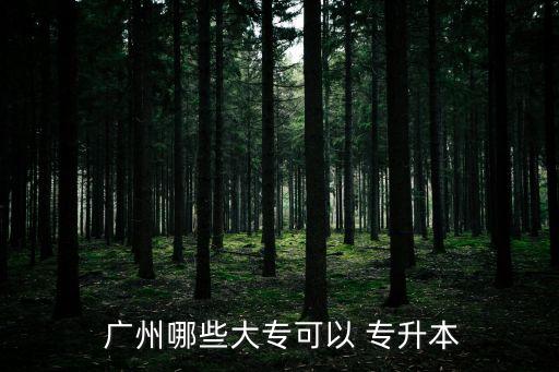  廣州哪些大?？梢?專升本
