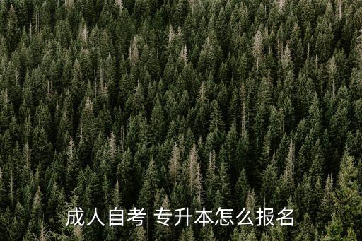 成人自考 專(zhuān)升本怎么報(bào)名