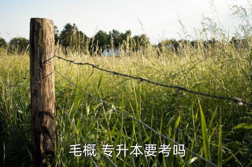  毛概 專升本要考嗎