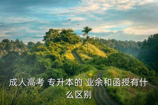 成人高考 專(zhuān)升本的 業(yè)余和函授有什么區(qū)別