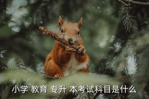 科學(xué)教育專升本考什么,一文讀懂!高等教育?？茖W(xué)府畢業(yè)典禮