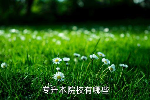 西昌學(xué)院跨校專升本,四川高等學(xué)府成考本科學(xué)校名單出爐