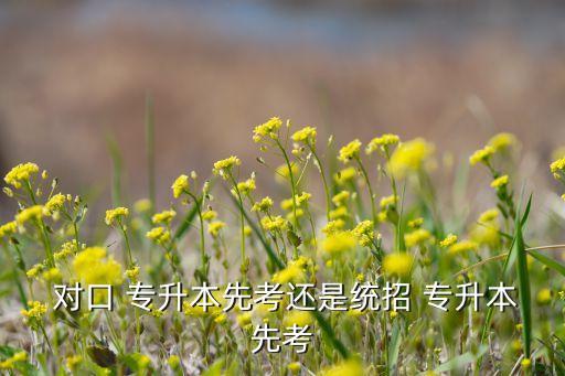  對(duì)口 專升本先考還是統(tǒng)招 專升本先考