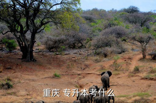 重慶地區(qū)專升本,重慶統(tǒng)招專升本考試成績(jī):考試錄取難度大