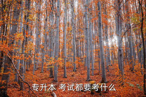  專(zhuān)升本 考試都要考什么