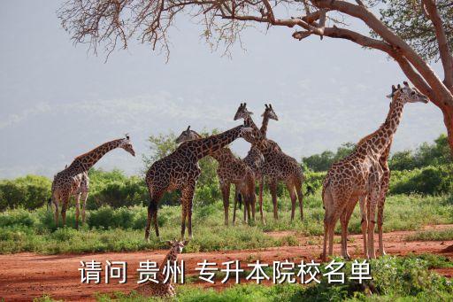 請問 貴州 專升本院校名單
