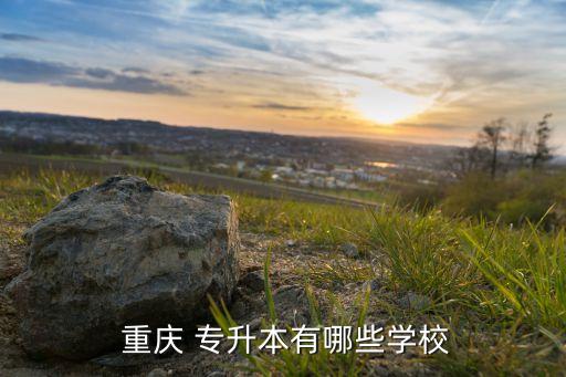 重慶專升本科院,重慶專升本地學府名單出爐!