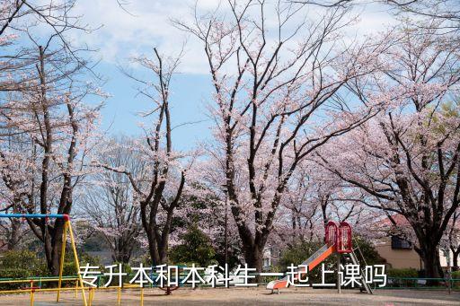  專(zhuān)升本和本科生一起上課嗎