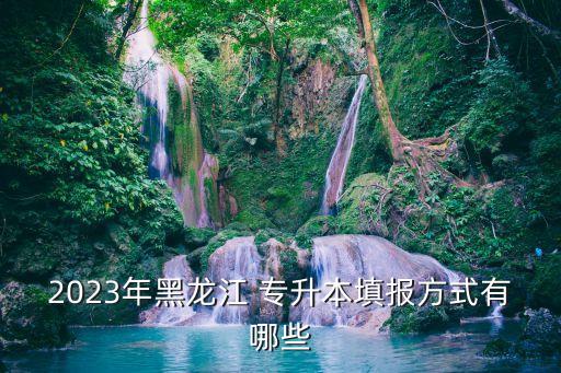 2023年黑龍江 專(zhuān)升本填報(bào)方式有哪些