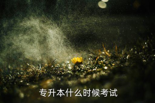  專升本什么時候考試