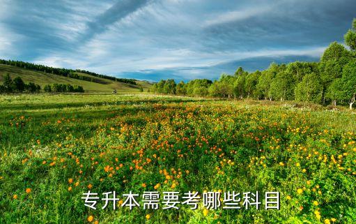 國(guó)外專(zhuān)升本專(zhuān)業(yè)有哪些專(zhuān)業(yè)課程,專(zhuān)升本需要參加什么?