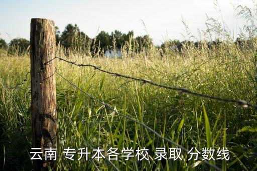 云南名族大學(xué)專升本錄取分?jǐn)?shù)線,云南警校專升本錄取分?jǐn)?shù)線