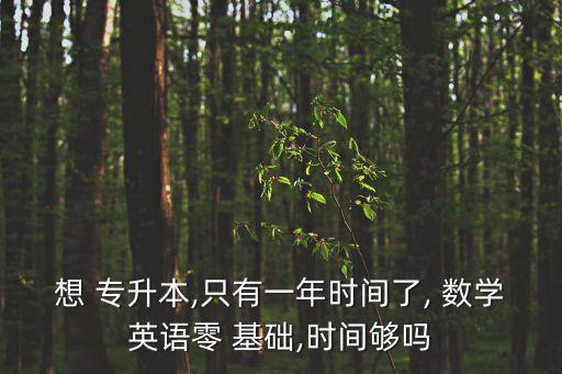 想 專升本,只有一年時間了, 數(shù)學英語零 基礎(chǔ),時間夠嗎