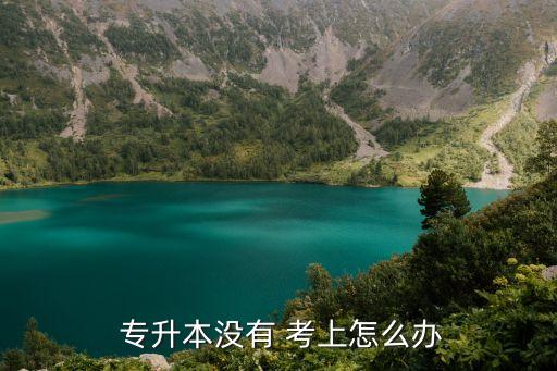  專升本沒有 考上怎么辦