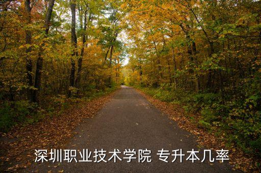  深圳職業(yè)技術(shù)學(xué)院 專(zhuān)升本幾率
