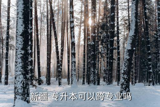 新疆 專(zhuān)升本可以跨專(zhuān)業(yè)嗎