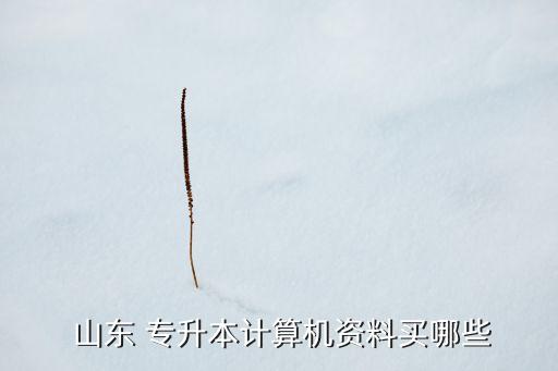  山東 專升本計(jì)算機(jī)資料買哪些