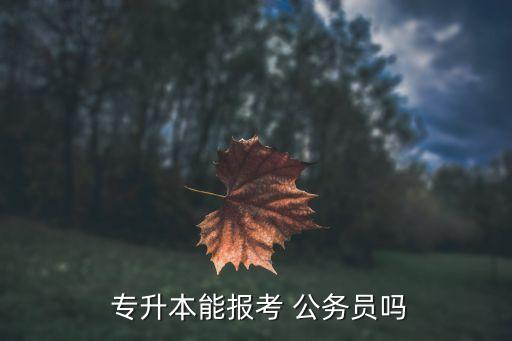  專升本能報考 公務(wù)員嗎