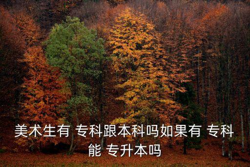 美術生有 ?？聘究茊崛绻??？颇?專升本嗎