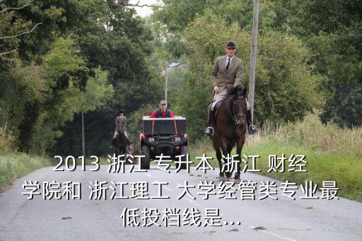 2013 浙江 專(zhuān)升本 浙江 財(cái)經(jīng)學(xué)院和 浙江理工 大學(xué)經(jīng)管類(lèi)專(zhuān)業(yè)最低投檔線是...