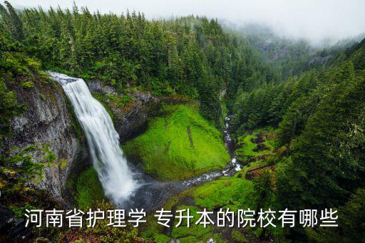 河南省護理學(xué) 專升本的院校有哪些