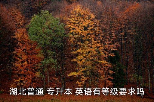 湖北普通 專升本 英語有等級要求嗎