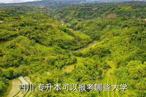 四川 專升本可以報(bào)考哪些大學(xué)