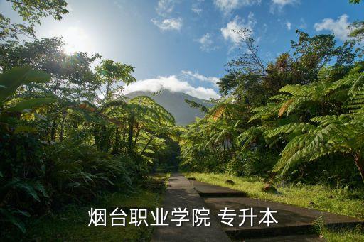煙臺專升本簡章,報考高職院校專升本須滿足以下條件
