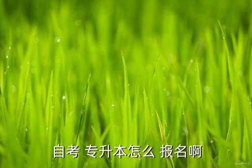  自考 專升本怎么 報(bào)名啊