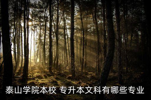 泰山學(xué)院本校 專(zhuān)升本文科有哪些專(zhuān)業(yè)