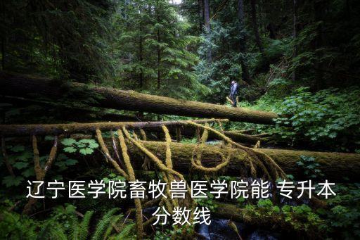  遼寧醫(yī)學院畜牧獸醫(yī)學院能 專升本 分數(shù)線