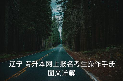  遼寧 專升本網(wǎng)上報名考生操作手冊圖文詳解