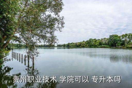  貴州職業(yè)技術(shù) 學(xué)院可以 專(zhuān)升本嗎