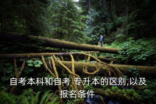 自考本科和自考 專升本的區(qū)別,以及報名條件