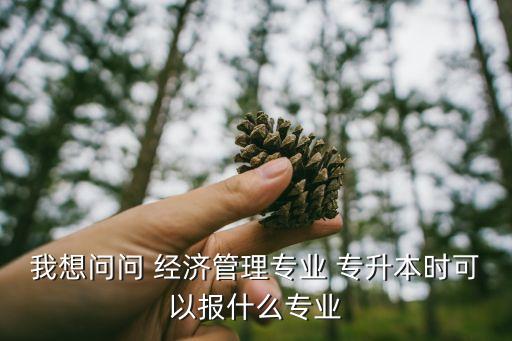 我想問(wèn)問(wèn) 經(jīng)濟(jì)管理專(zhuān)業(yè) 專(zhuān)升本時(shí)可以報(bào)什么專(zhuān)業(yè)