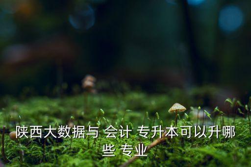 會(huì)計(jì)專(zhuān)升本可以報(bào)什么專(zhuān)業(yè)好,高等學(xué)府就業(yè)指導(dǎo)報(bào)到