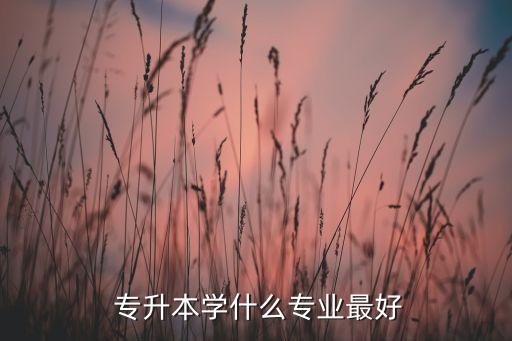  專升本學什么專業(yè)最好
