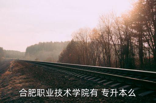 合肥市專升本,安徽省內(nèi)就讀只能通過專升本才能在合肥大學就讀