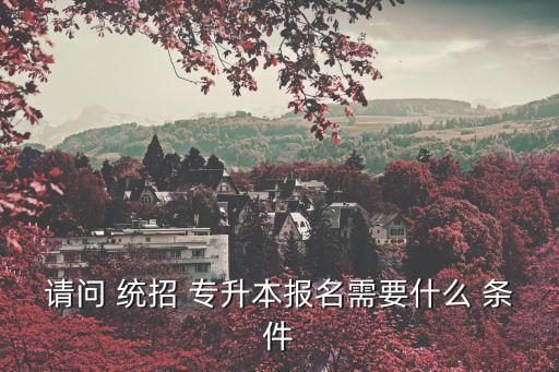 請(qǐng)問 統(tǒng)招 專升本報(bào)名需要什么 條件
