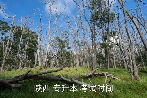 陜西 專升本 考試時(shí)間
