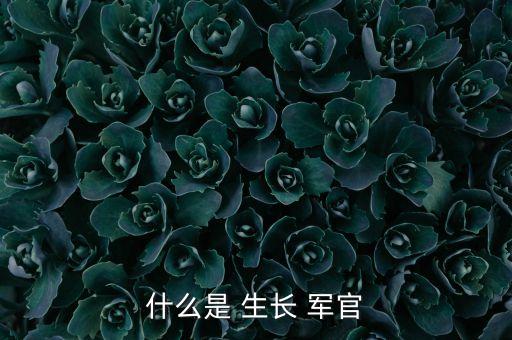 什么是 生長(zhǎng) 軍官