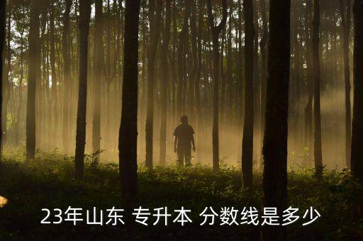 23年山東 專升本 分?jǐn)?shù)線是多少