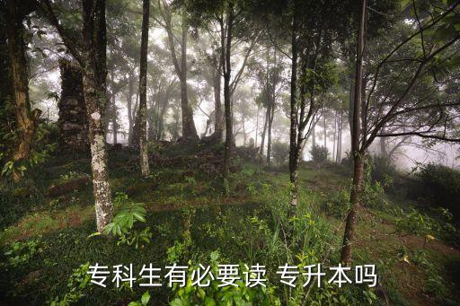 上?？凭偷脤Ｉ締?專升本不同于普通本科畢業(yè)證和學(xué)位證