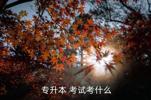 理工類專升本考試題目,專升本考試科目沒什么，理科專科