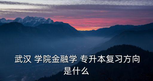  武漢 學院金融學 專升本復習方向是什么
