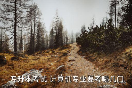 專升本計算機類畢業(yè)設計,不交畢業(yè)設計就拿不到畢業(yè)證書
