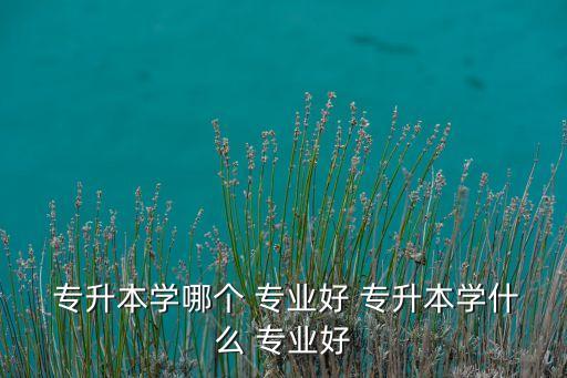  專升本學哪個 專業(yè)好 專升本學什么 專業(yè)好